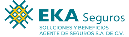 Eka Seguros